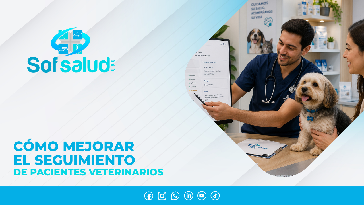 Cómo mejorar el seguimiento de pacientes veterinarios